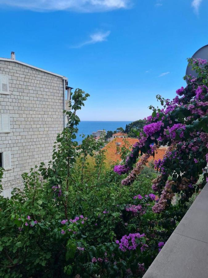 Apartments Deranja II Dubrovnik Dış mekan fotoğraf